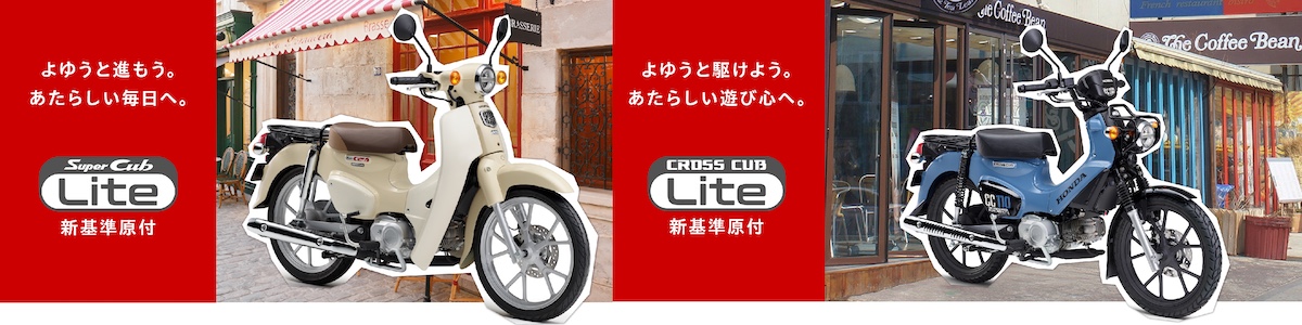 Cub_Lite